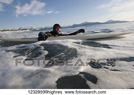 Man swimming with his surfboard, South-central Alaska; Homer, Alaska, United States of America View Large Photo Image Stock Photograph - Man swimming with his surfboard, South-central Alaska; Homer, Alaska, United States of America. Fotosearch