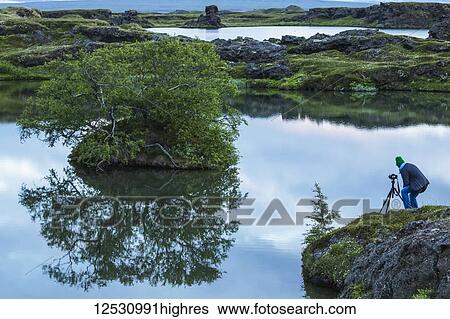 Stock Photograph - Man taking photographs with a camera and tripod near Lake Myvatn, North Iceland; Iceland. Fotosearch