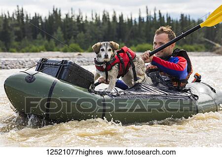 Stock Photograph - Man with his dog in a pack raft in Jarvis Creek, Interior Alaska; Alaska, United States of America. Fotosearch