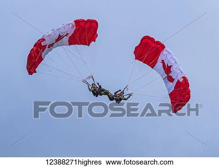 Members of the Sky Hawks flying with Canadian flag parachutes for the 150th year celebrations; North Bay, Ontario, Canada View Large Photo Image Stock Photograph - Members of the Sky Hawks flying with Canadian flag parachutes for the 150th year celebrations; North Bay, Ontario, Canada. Fotosearch
