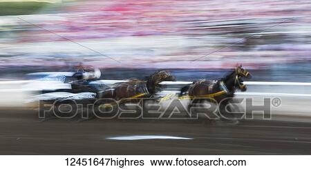 Stock Photograph - Motion blur of cowboys riding in a carriage behind a team of horses in front of spectators in the stands at the Calgary Stampede; Calgary, Alberta, Canada. Fotosearch