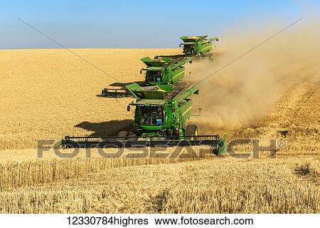 Multiple Combines Harvesting Grain In The Palouse Region Of Eastern Washington; Washington, United States Of America View Large Photo Image Stock Photograph - Multiple Combines Harvesting Grain In The Palouse Region Of Eastern Washington; Washington, United States Of America. Fotosearch