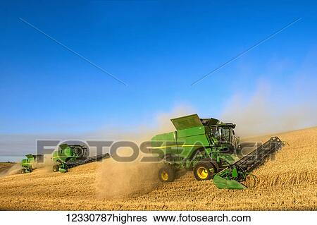 Multiple Combines Harvesting Grain In The Palouse Region Of Eastern Washington; Washington, United States Of America View Large Photo Image Stock Photograph - Multiple Combines Harvesting Grain In The Palouse Region Of Eastern Washington; Washington, United States Of America. Fotosearch