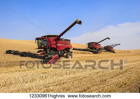 Stock Photograph - Multiple Combines Harvesting Grain In The Palouse Region Of Eastern Washington; Washington, United States Of America. Fotosearch