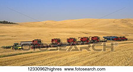 Stock Photograph - Multiple Combines Harvesting Grain In The Palouse Region Of Eastern Washington; Washington, United States Of America. Fotosearch