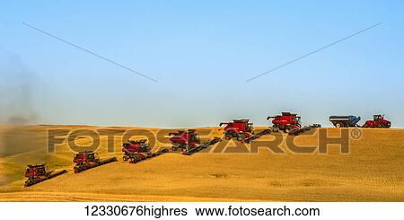 Multiple Combines Harvesting Grain On The Hills Of The Palouse Region Of Washington; Washington, United States Of America View Large Photo Image Stock Photograph - Multiple Combines Harvesting Grain On The Hills Of The Palouse Region Of Washington; Washington, United States Of America. Fotosearch
