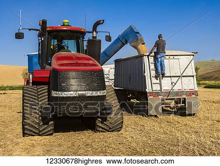 Offloading Grain From A Grain Cart To A Transport Truck In Eastern Washington; Washington, United States Of America View Large Photo Image Stock Photograph - Offloading Grain From A Grain Cart To A Transport Truck In Eastern Washington; Washington, United States Of America. Fotosearch