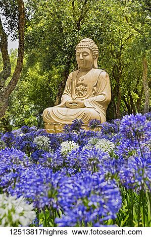 One of the many statues of Buddha in the Buddha Eden Garden, consisting of 35 hectares (86 acres) of natural fields, lakes, manicured gardens an hour north of Lisbon. Buddhas, pagodas, terracotta statues and the various sculptures can be found... View Large Photo Image Stock Photograph - One of the many statues of Buddha in the Buddha Eden Garden, consisting of 35 hectares (86 acres) of natural fields, lakes, manicured gardens an hour north of Lisbon. Buddhas, pagodas, terracotta statues and the various sculptures can be found.... Fotosearch