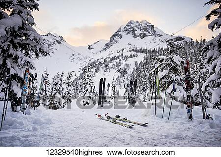 Stock Photograph - Pairs Of Skis And Poles In The Snow In The Backcountry In Winter; British Columbia, Canada. Fotosearch