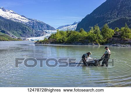 Park rangers at Mendenhall Glacier near Juneau, Alaska cart a block of 200 year old ice to Visitor Center for display; Juneau, Alaska, United States of America View Large Photo Image Stock Photograph - Park rangers at Mendenhall Glacier near Juneau, Alaska cart a block of 200 year old ice to Visitor Center for display; Juneau, Alaska, United States of America. Fotosearch