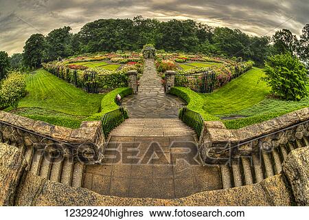 Stock Photograph - Peggy Rockefeller Rose Garden, New York Botanical Garden; Bronx, New York, United States Of America. Fotosearch