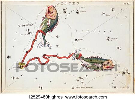 Pisces. Card Number 27 from Urania's Mirror, or A View of the Heavens, one of a set of 32 astronomical star chart cards engraved by Sidney Hall and publshed 1824. View Large Photo Image Stock Photograph - Pisces. Card Number 27 from Urania's Mirror, or A View of the Heavens, one of a set of 32 astronomical star chart cards engraved by Sidney Hall and publshed 1824.. Fotosearch