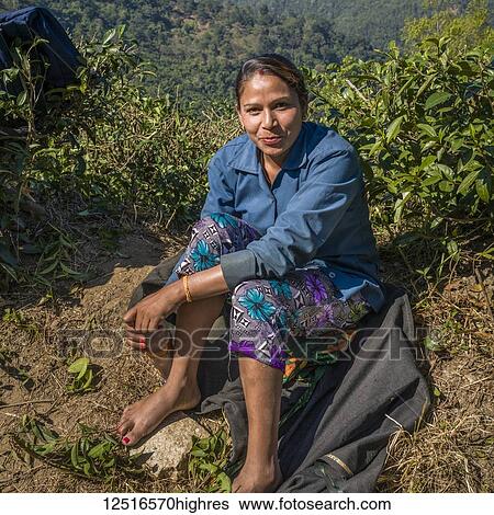 Stock Photograph - Portrait of a female worker sitting in bare feet, Kambal Tea Garden; West Bengal, India. Fotosearch