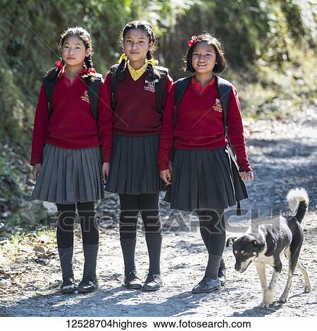 Stock Photograph - Portrait of three teenage girls in school uniform with a dog walking down a path to school in the Himalayan foothills; Kaluk, Sikkim, India. Fotosearch