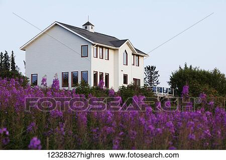 Residential Home Surrounded By Fireweed On Diamond Ridge, Homer, Southcentral Alaska, USA View Large Photo Image Stock Photograph - Residential Home Surrounded By Fireweed On Diamond Ridge, Homer, Southcentral Alaska, USA. Fotosearch