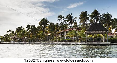 Stock Photograph - Resort accomodations and palm trees in the Caribbean; Belize. Fotosearch