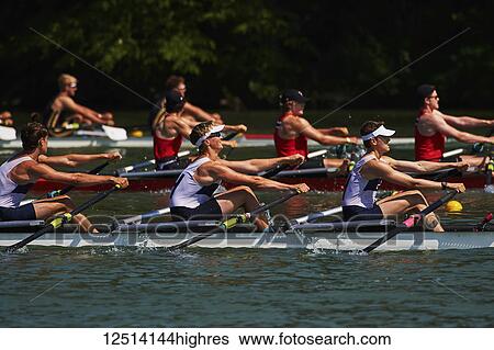 Rowers from the Hanlan Boat Club rowing in Lake Ontario; Toronto, Ontario, Canada View Large Photo Image Stock Photograph - Rowers from the Hanlan Boat Club rowing in Lake Ontario; Toronto, Ontario, Canada. Fotosearch