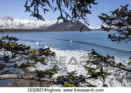 Scenic View Of The Kenai Peninsula Outer Coast And Kenai Mountains, Southcentral Alaska, USA View Large Photo Image Stock Photograph - Scenic View Of The Kenai Peninsula Outer Coast And Kenai Mountains, Southcentral Alaska, USA. Fotosearch