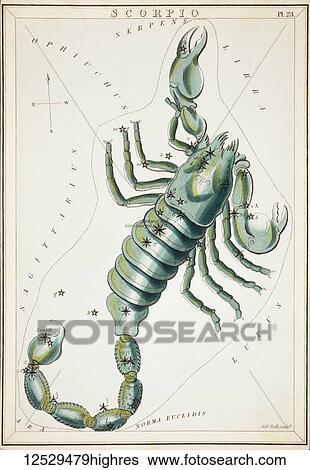 Stock Photograph - Scorpio. Card Number 23 from Urania's Mirror, or A View of the Heavens, one of a set of 32 astronomical star chart cards engraved by Sidney Hall and publshed 1824.. Fotosearch