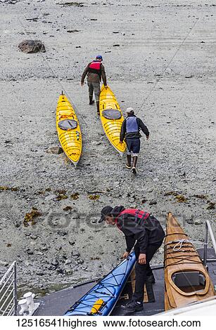 Sea kayakers unloading kayaks from the bow of the boat Baranof Wind, Glacier Bay National Park and Preserve, Southeast Alaska; Alaska, United States of America View Large Photo Image Stock Photograph - Sea kayakers unloading kayaks from the bow of the boat Baranof Wind, Glacier Bay National Park and Preserve, Southeast Alaska; Alaska, United States of America. Fotosearch