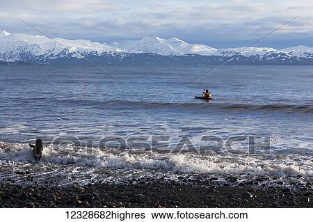 Stock Photograph - Sea kayaking in Kachemak Bay with a dog running in the water along the shore, South-central Alaska; Homer, Alaska, United States of America. Fotosearch