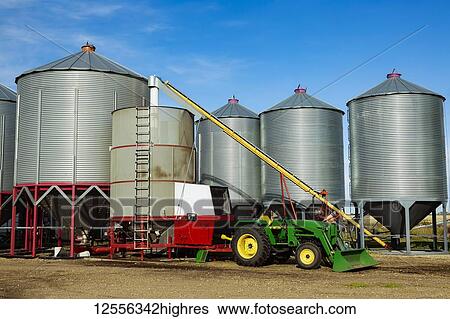 Stock Photograph - Silos in the background with a tractor and auger for loading a grain dryer in the foreground of a farm yard; Legal, Alberta, Canada. Fotosearch