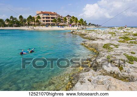 Snorkler in a lagoon on the Caribbean side of Mexico; Playa Del Carmen, Quintana Roo, Mexico View Large Photo Image Stock Photograph - Snorkler in a lagoon on the Caribbean side of Mexico; Playa Del Carmen, Quintana Roo, Mexico. Fotosearch