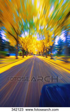 Speeding down a road in autumn View Large Photo Image Stock Image - Speeding down a road in autumn. Fotosearch
