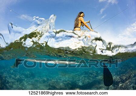 Split image of above and below water and a woman on a stand up paddle board; Hawaii, United States of America View Large Photo Image Stock Photograph - Split image of above and below water and a woman on a stand up paddle board; Hawaii, United States of America. Fotosearch