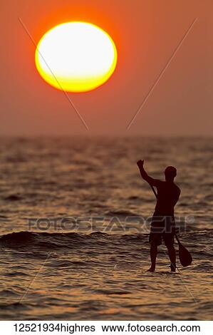 Stand up paddler at sunset; Kihei, Maui, Hawaii, United States of America View Large Photo Image Stock Photograph - Stand up paddler at sunset; Kihei, Maui, Hawaii, United States of America. Fotosearch