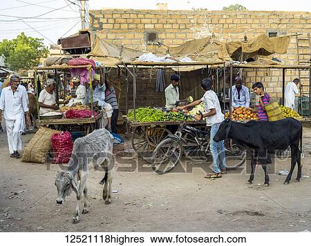 Street scene with animals and vendors; Jaisalmer, Rajasthan, India View Large Photo Image Stock Photograph - Street scene with animals and vendors; Jaisalmer, Rajasthan, India. Fotosearch