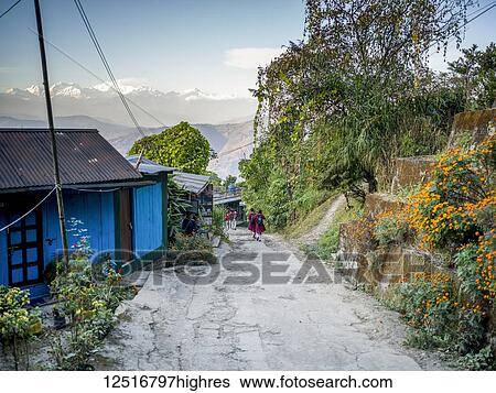 Stock Photograph - Students in uniform walk down a road in Glenburn Tea Plantation and Estate with a view of the snow-capped Himalayas in the distance; Darjeeling, West Bengal, India. Fotosearch