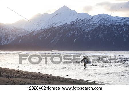 Stock Photograph - Surfer Carries His Board Out Of Kachemak Bay, Homer Spit, Southcentral Alaska, USA. Fotosearch