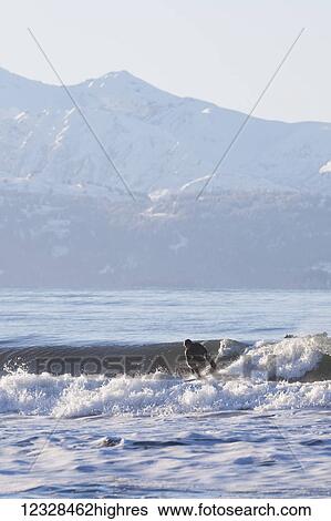 Surfer in Kachemak Bay, South-central Alaska; Homer Spit, Alaska, United States of America View Large Photo Image Stock Photograph - Surfer in Kachemak Bay, South-central Alaska; Homer Spit, Alaska, United States of America. Fotosearch
