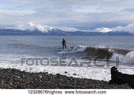 Stock Photograph - Surfer in Kachemak Bay, South-central Alaska; Homer, Alaska, United States of America. Fotosearch