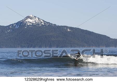 Stock Photograph - Surfer riding a wave on the Kenai Peninsula Outer Coast, South-central Alaska; Alaska, United States of America. Fotosearch