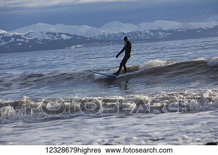 Surfer riding waves in Kachemak Bay, South-central Alaska; Homer, Alaska, United States of America View Large Photo Image Stock Photograph - Surfer riding waves in Kachemak Bay, South-central Alaska; Homer, Alaska, United States of America. Fotosearch