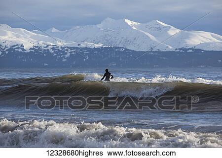 Surfer riding waves in Kachemak Bay, South-central Alaska; Homer, Alaska, United States of America View Large Photo Image Stock Photograph - Surfer riding waves in Kachemak Bay, South-central Alaska; Homer, Alaska, United States of America. Fotosearch