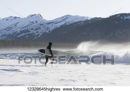 Stock Photograph - Surfer walking into the ocean along the Kenai Peninsula Outer Coast, South-central Alaska; Alaska, United States of America. Fotosearch