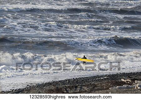 Surfer with his board entering the surf with crashing waves in the background, Southeast Alaska; Yakutat, Alaska, United States of America View Large Photo Image Stock Photograph - Surfer with his board entering the surf with crashing waves in the background, Southeast Alaska; Yakutat, Alaska, United States of America. Fotosearch