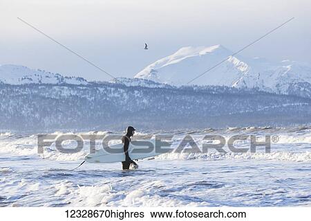 Stock Photograph - Surfer with surfboard entering Kachemak Bay, South-central Alaska; Homer, Alaska, United States of America. Fotosearch