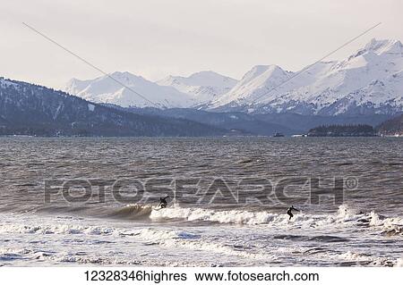 Surfers In Kachemak Bay Along Homer Spit, Southcentral Alaska, USA View Large Photo Image Stock Photograph - Surfers In Kachemak Bay Along Homer Spit, Southcentral Alaska, USA. Fotosearch