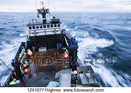 The F/V Time Bandit, of Deadliest Catch TV series fame, motors through Bristol Bay, in the Bering Sea, Southwestern Alaska; Alaska, United States of America View Large Photo Image Stock Photograph - The F/V Time Bandit, of Deadliest Catch TV series fame, motors through Bristol Bay, in the Bering Sea, Southwestern Alaska; Alaska, United States of America. Fotosearch