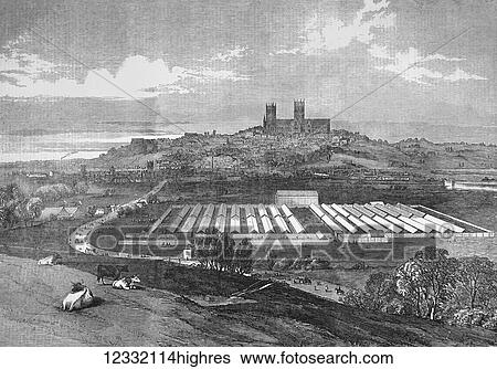 Stock Photograph - The Illustrated London News etching from 1854. Meeting of the Royal Agriculteral Society at Lincoln. Fotosearch