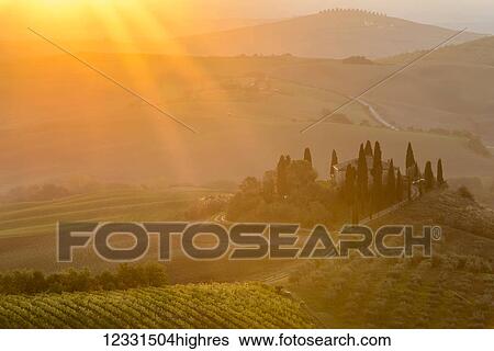 The intense sun rays of the morning sun illuminate layered Tuscany green hills, vineyard and the small Podere Belvedere villa near San Quirico D'orcia; Tuscany, Italy View Large Photo Image Stock Photograph - The intense sun rays of the morning sun illuminate layered Tuscany green hills, vineyard and the small Podere Belvedere villa near San Quirico D'orcia; Tuscany, Italy. Fotosearch
