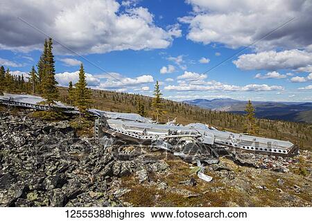 Stock Photograph - The land reclaiming a 1943 B-24 Liberator crash in the Yukon-Charley Rivers National Preserve, Wild and Scenic River, Charley River; Alaska, United States of America. Fotosearch