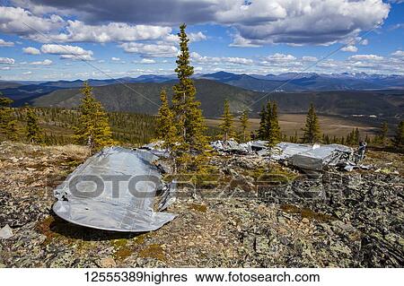 Stock Photograph - The land reclaiming a 1943 B-24 Liberator crash in the Yukon-Charley Rivers National Preserve, Wild and Scenic River, Charley River; Alaska, United States of America. Fotosearch