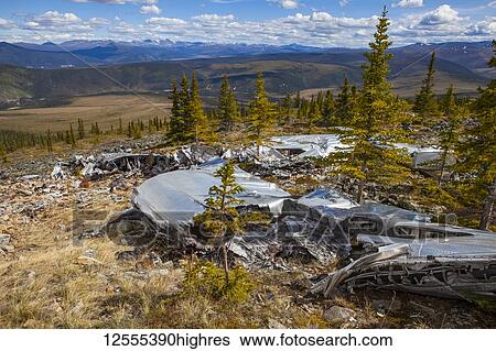 The land reclaiming a 1943 B-24 Liberator crash in the Yukon-Charley Rivers National Preserve, Wild and Scenic River, Charley River; Alaska, United States of America View Large Photo Image Stock Photograph - The land reclaiming a 1943 B-24 Liberator crash in the Yukon-Charley Rivers National Preserve, Wild and Scenic River, Charley River; Alaska, United States of America. Fotosearch