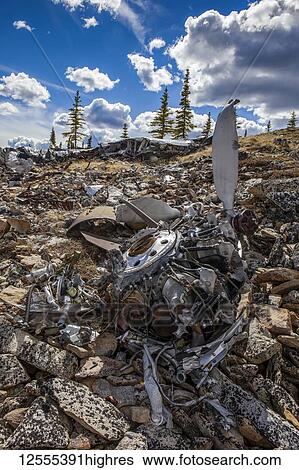 Stock Photograph - The land reclaiming a 1943 B-24 Liberator crash in the Yukon-Charley Rivers National Preserve, Wild and Scenic River, Charley River; Alaska, United States of America. Fotosearch