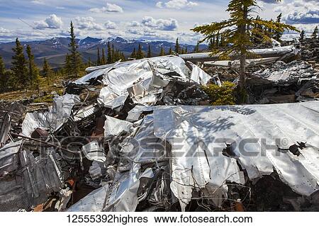 Stock Photograph - The land reclaiming a 1943 B-24 Liberator crash in the Yukon-Charley Rivers National Preserve, Wild and Scenic River, Charley River; Alaska, United States of America. Fotosearch